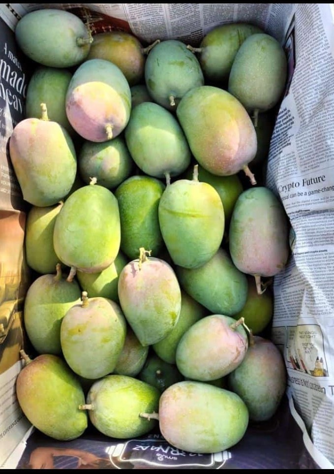 Seasonal Harvest
